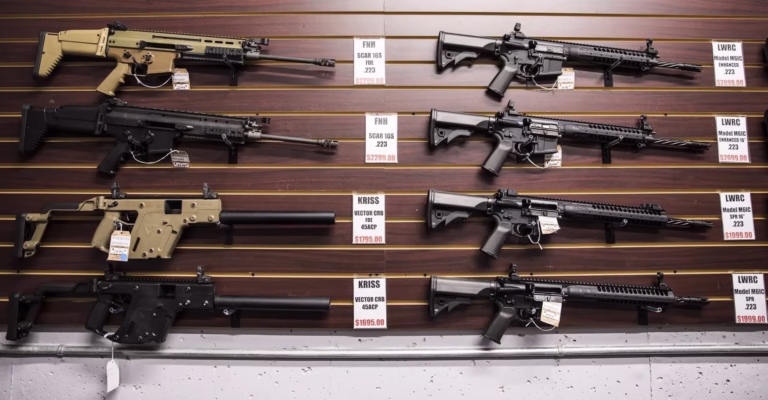 rifles in 2025