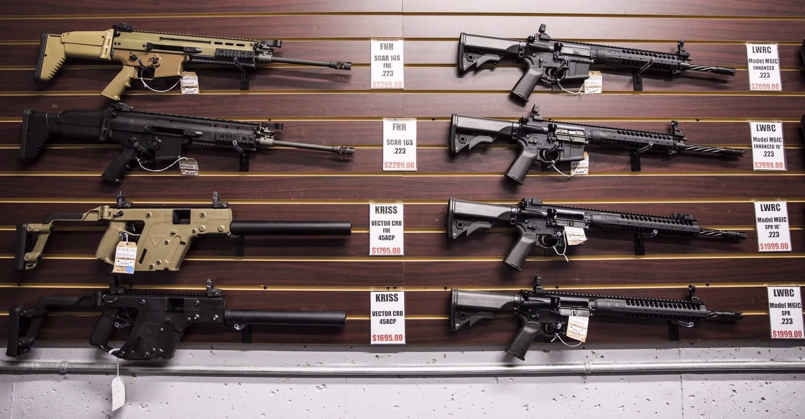 rifles in 2025
